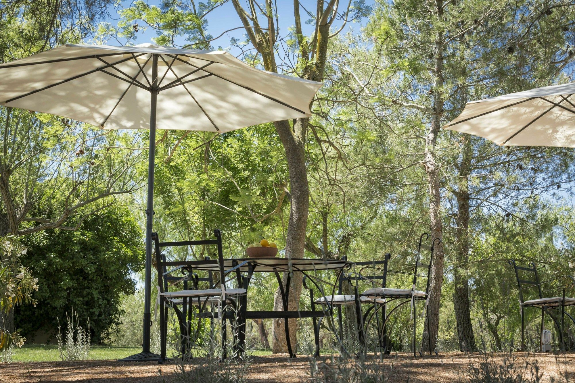Finca Son Miranda - La Organic Sencelles Luaran gambar