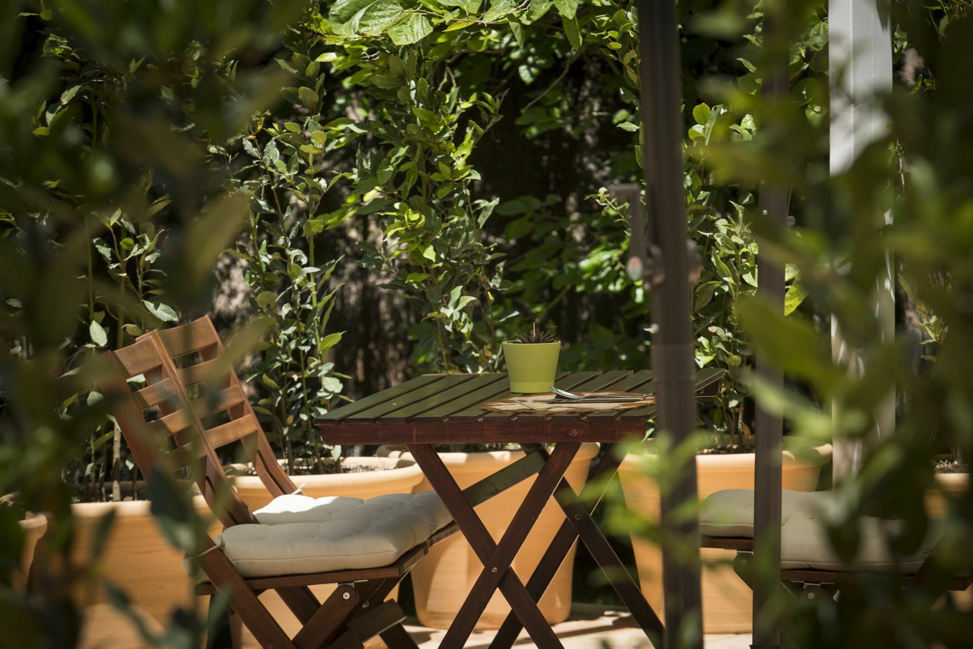 Finca Son Miranda - La Organic Sencelles Luaran gambar