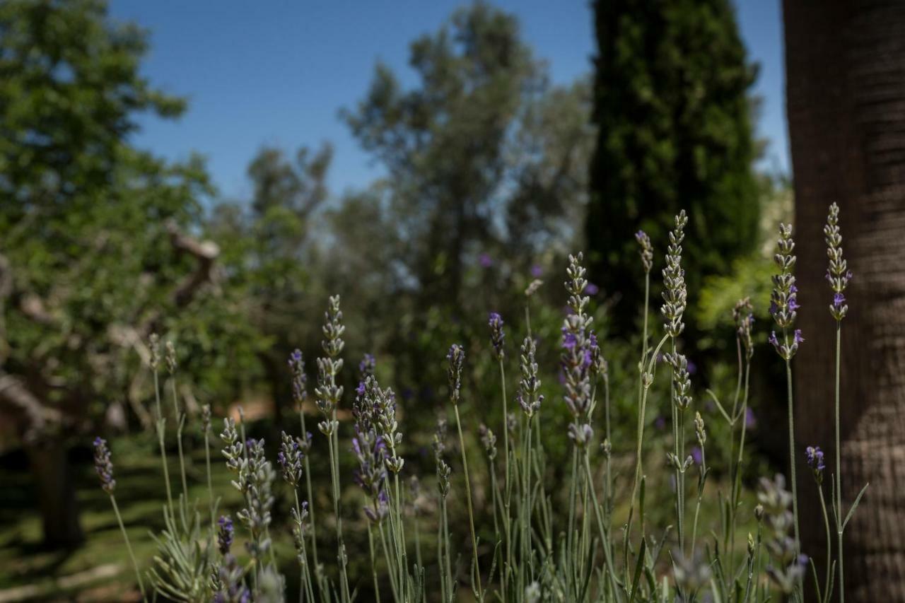 Finca Son Miranda - La Organic Sencelles Luaran gambar